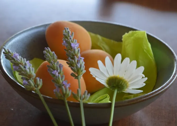 Bioagriturismo Tenuta Montenuovo